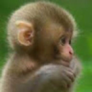 Meet your Posher, Syriah